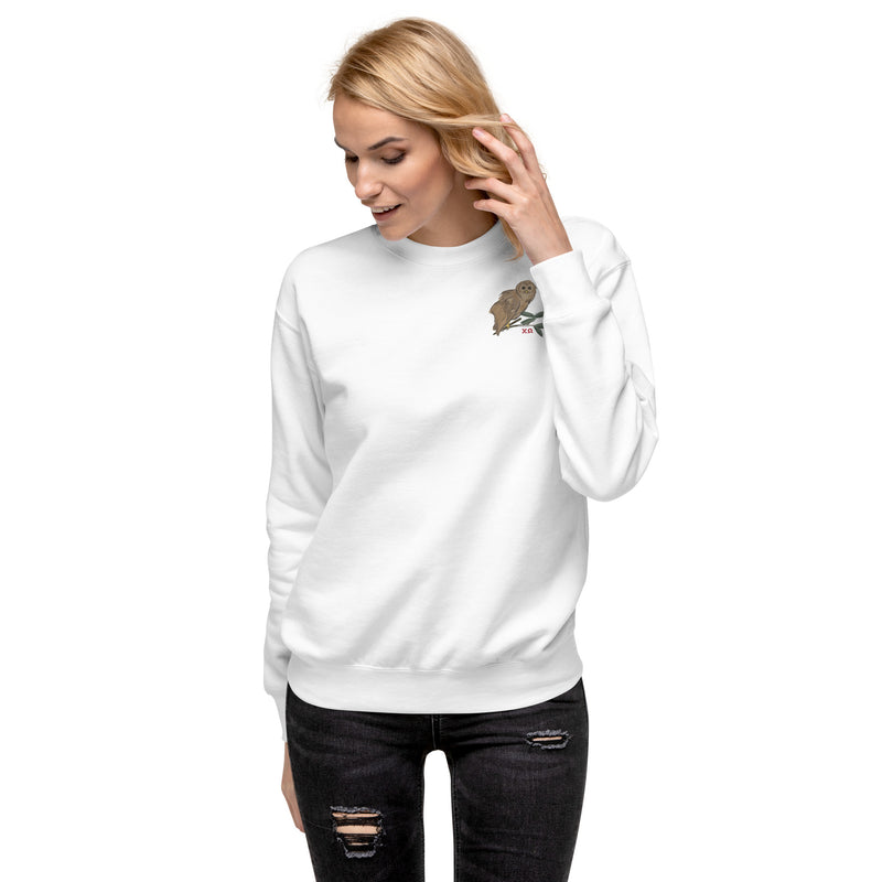 Chi Omega Owl Crewneck Sweatshirt in front view in white on model