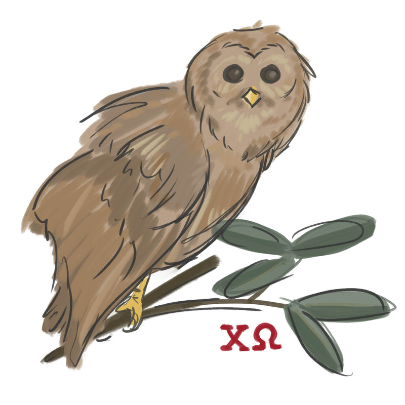 Chi Omega owl mascot design printed on crew neck sweatshirt