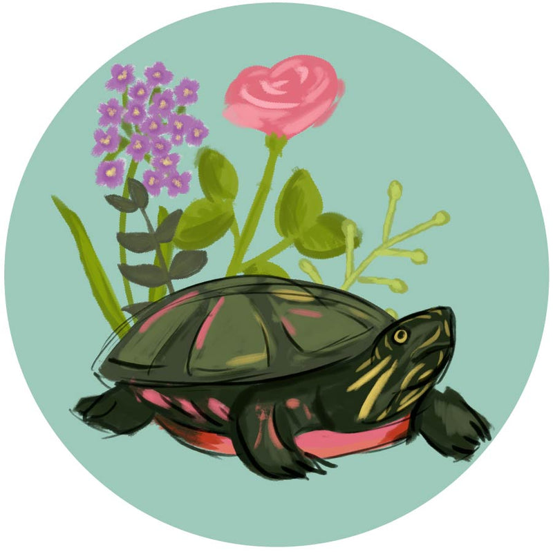 Delta Zeta Sorority Sticker with hand-drawn turtle mascot design