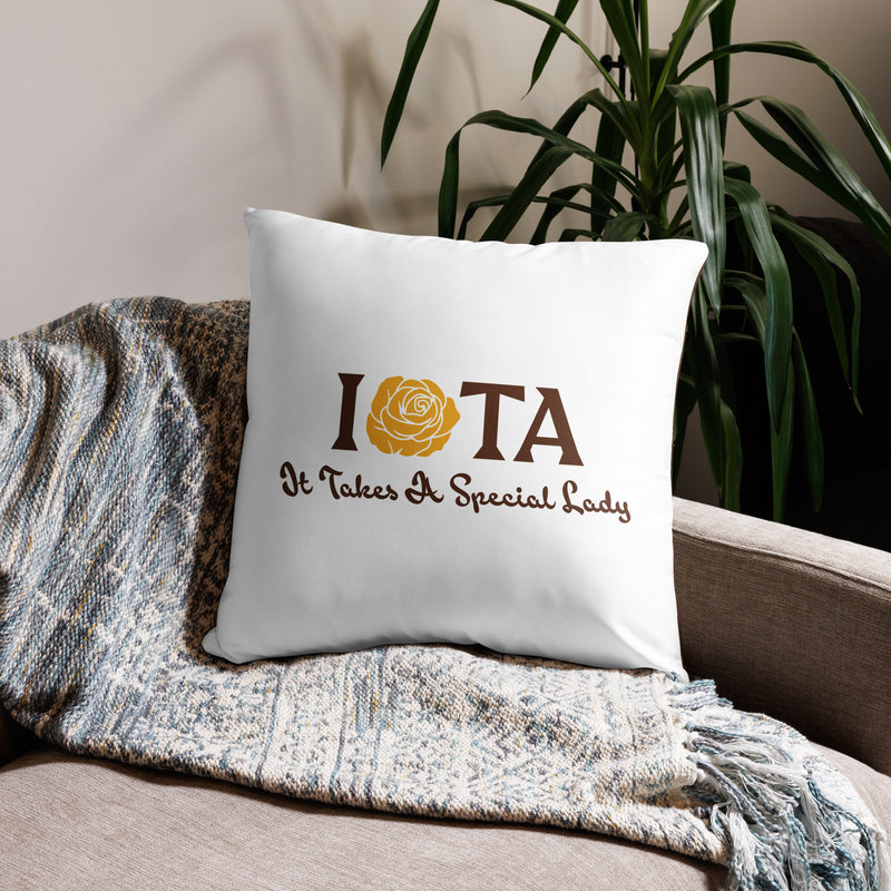 Back of Iota Sweethearts Special Lady Pillow in larger 22" x 22" size shown on chair