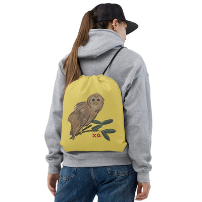 Chi Omega Owl Mascot Drawstring Bag shown on model