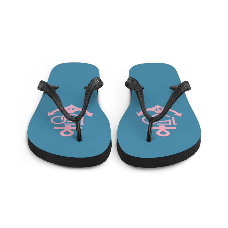 Delta Gamma 150th Anniv. Flip-Flops, Teal and Pink showing front view