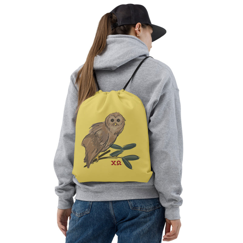 Chi Omega Owl drawstring bag