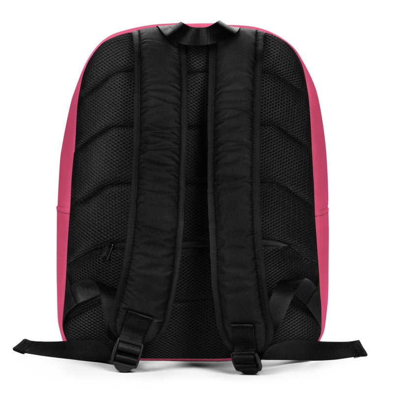 Rear view of back of AOII Panda mascot backpack showing black straps and mesh pocket.