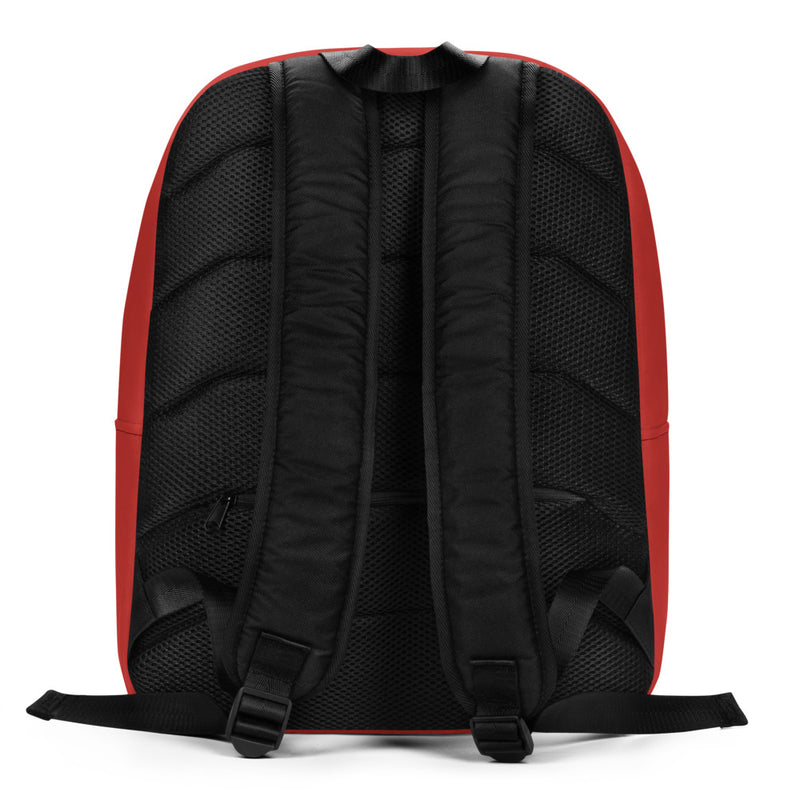 Alpha Omicron Pi Panda Red Backpack showing back of backpack