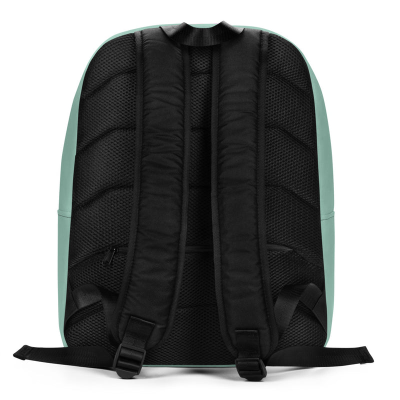 Delta Zeta Tortoise Green Backpack showing back of bag
