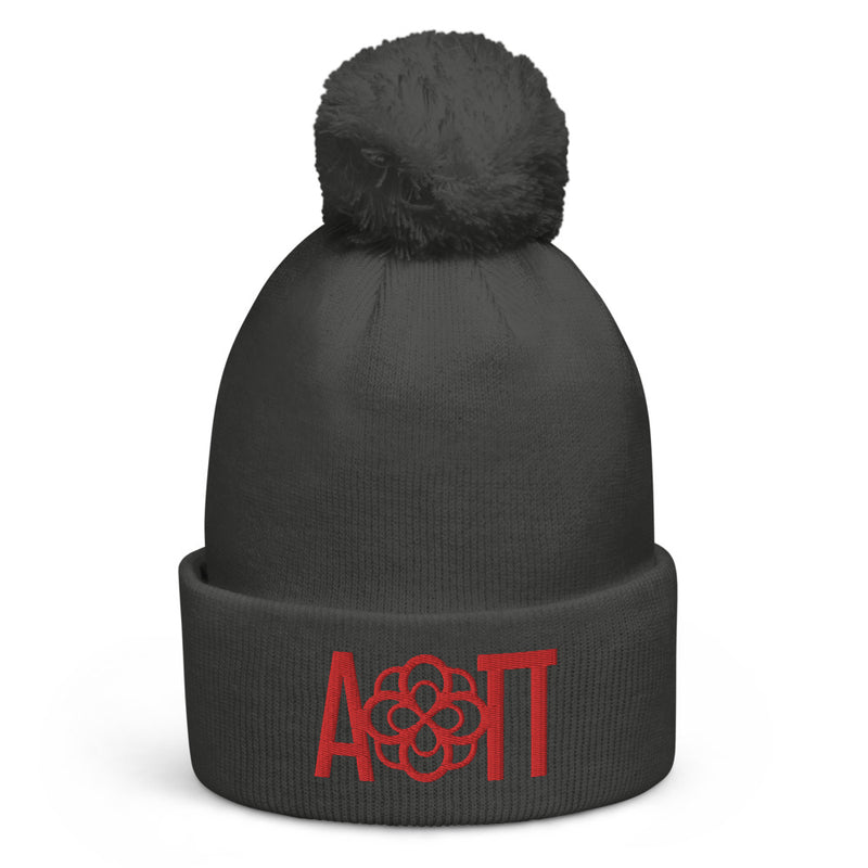 Alpha Omicron Pi Sorority Beanie in gray  with red embroidered letters