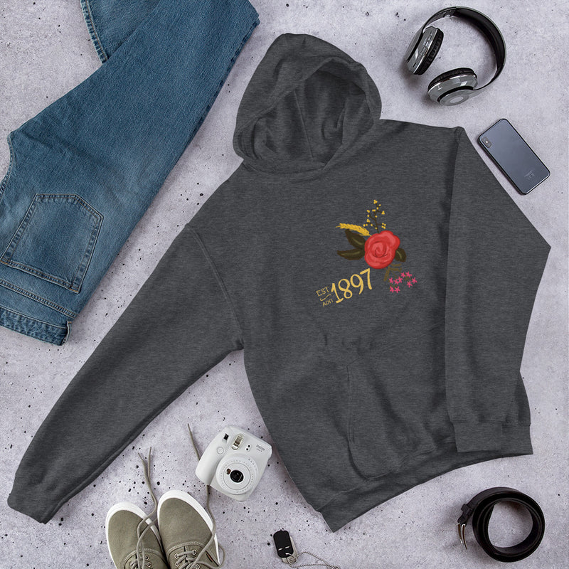 Alpha Omicron Pi Sorority Hoodie in gray in lifestyle photo