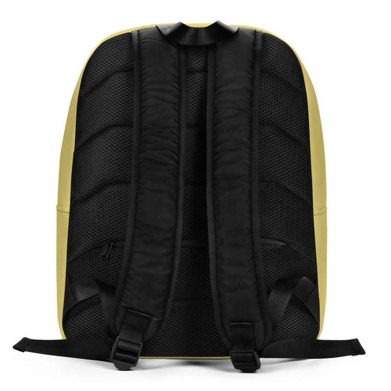 Chi Omega Sorority Backpack showing back of bag with back straps