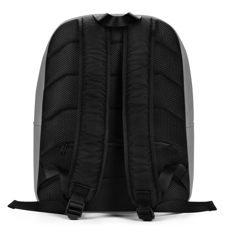 Kappa Alpha Theta TLAM Gray Backpack showing back of bag and bag straps