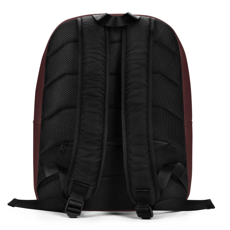 Pi Beta Phi Follow Your Arrow Backpack showing back of bag with back straps
