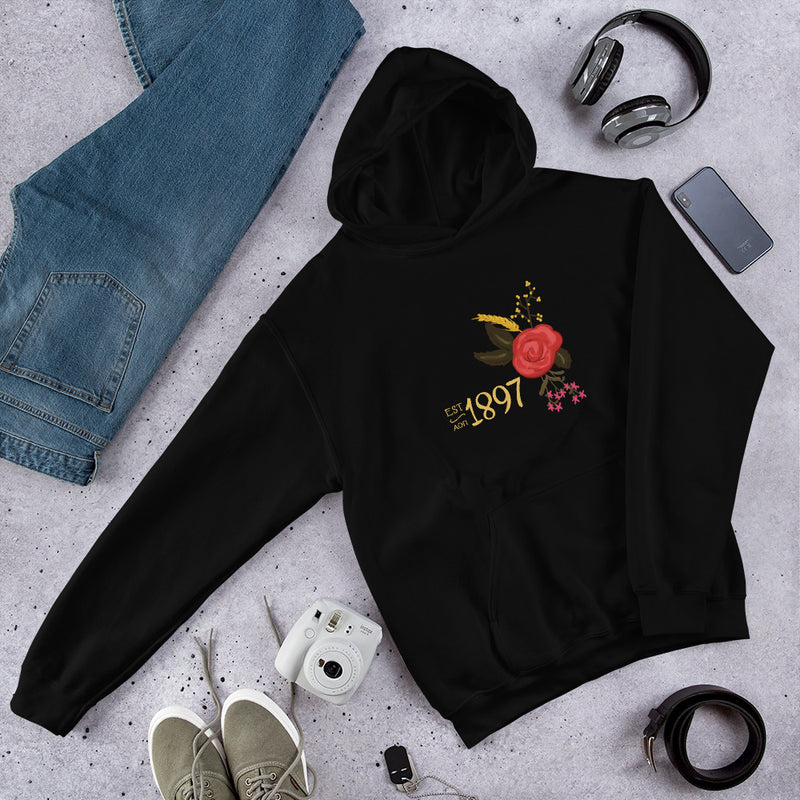 Alpha Omicron Pi 1897 Comfy Unisex Hoodie in black in lifestyle photo